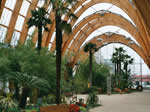 Winter Gardens, Sheffield